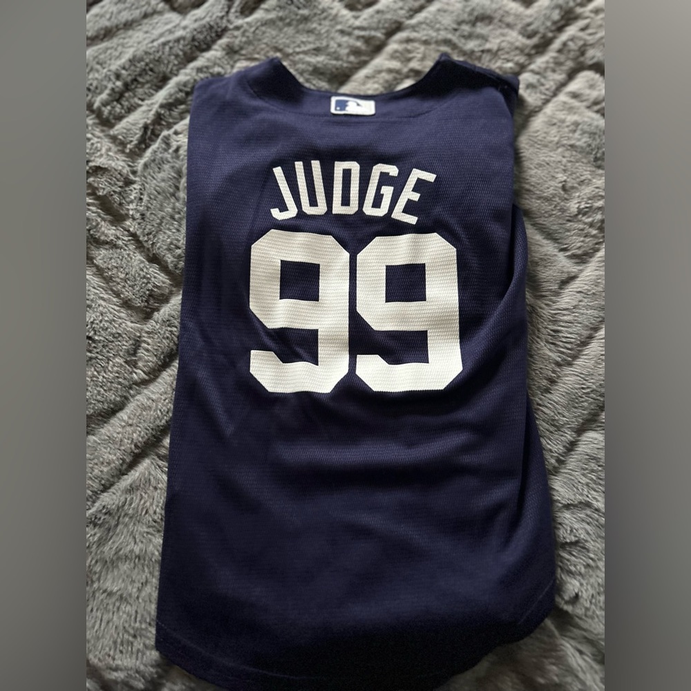 NYY Judge Jersey